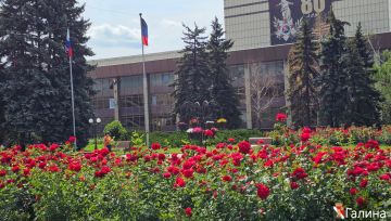 ����� ��������: ������ ����, ��������!. #�������� #������������������ #���������������