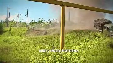 ������������ ���� ������ �� ��� �������� ������ ��������, ���������� ��������� ������