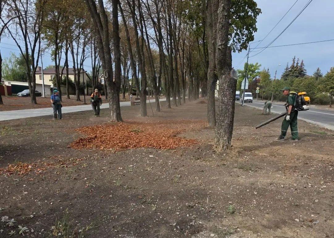 Иван Адамец: Сотрудники муниципального предприятия «Зеленое строительство» продолжают плановую работу по благоустройству