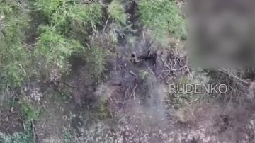 ������ �������: ������� ����� ����������� ������ � ������� ��� ������ ���������� ������� � ����� ���� ���������� � ������������ ��������� �� ������������� �����������