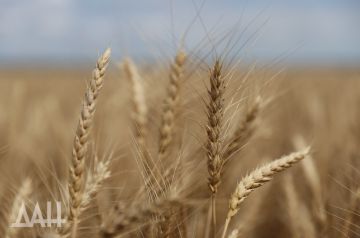�� ������ � �������. ��������������� ��� ������ ��������� �������� �������