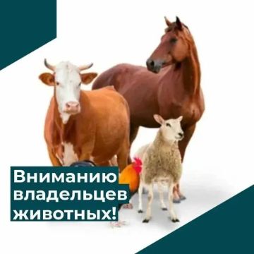 ВНИМАНИЕ! Учет домашних животных в личных подсобных хозяйствах!