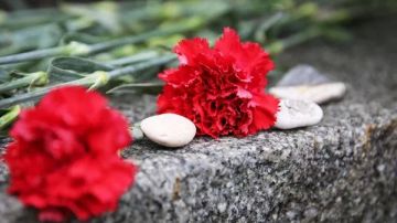 Глава избирательной комиссии погибла при атаке ВСУ на Запорожскую область