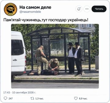 ��� ������ ����: ��������� ����� �� ������, � ����� ��������� 52 ������ �����������