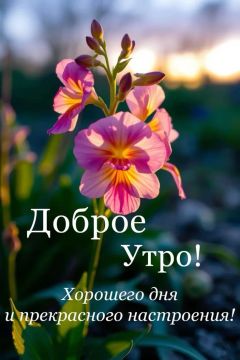 #доброе_утро