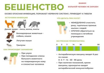 БЕШЕНСТВО — БОЛЕЗНЬ БЕЗ ШАНСА НА ОШИБКУ