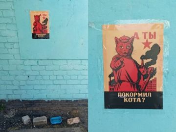 Важное напоминание для всех котовладельцев обнаружено в Макеевке