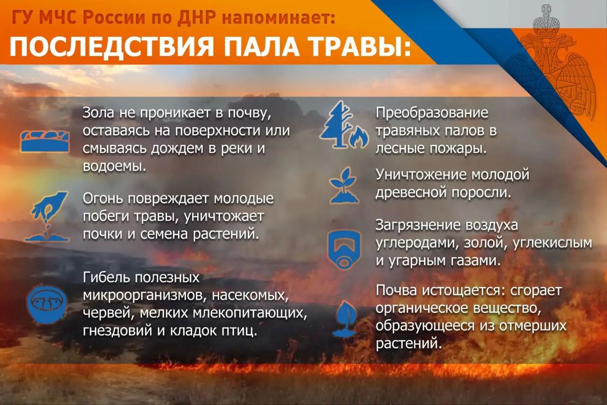 ИГРА С ОГНЕМ: опасность пала мусора и сухой травы