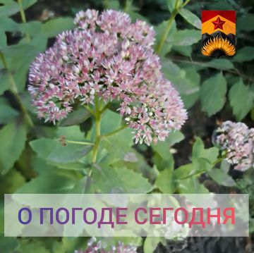 Александр Шатов: Гидрометцентр сообщил о погоде в Шахтерском округе