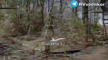 Кадры боёв: бойцы «Центра» уничтожают пехоту и технику врага в боях за Красноармейском и на Днепропетровщине