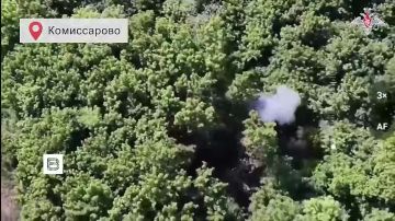 Российские военные за сутки освободили пять населенных пунктов: Лошаково и Комиссарово в Харьковской области, Марьевку и Гулево в ДНР, а также Зеленую Диброву в Запорожской области