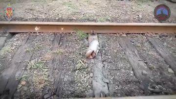 ����� �������: �������� ������ �������� � �������� ���������� �������� �������� �� ������ ������������� 91 ���������������� ����� �� ������� ����������