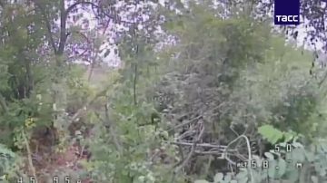 ������� ��������� ������� ����� ����������� ������ "�����" ������������� ������ ��� � ���������, �������� � �� ��