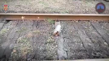 ����� �������� ������� �� ��������� � ��������������� �������� � ��� � ���