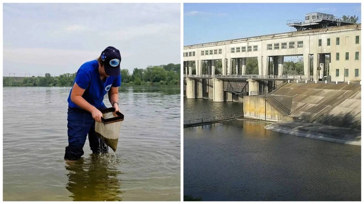 В Северском Донце вода приемлемого качества: донецкий биолог прокомментировал результаты новых исследований реки