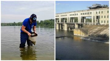 В Северском Донце вода приемлемого качества: донецкий биолог прокомментировал результаты новых исследований реки
