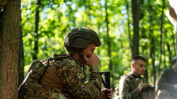 В ДНР рассказали, как ВСУ преследуют российских волонтёров