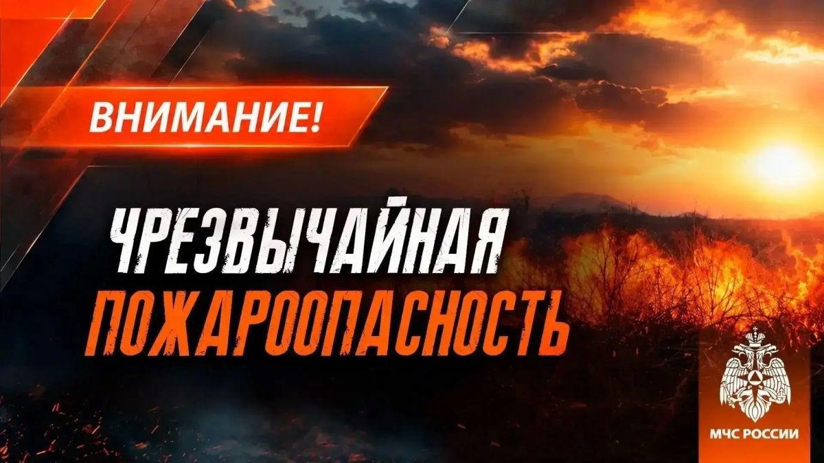 Чрезвычайная пожароопасность (5 класс) в центральных, юго-восточных и юго-западных районах ДНР ожидается 22 сентября