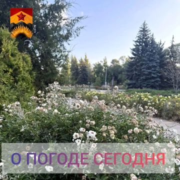 ��������� �����: ������������� ������� � ������ � ���������� ������