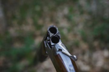 ����� �����: ����� 30 ������� �������� ���������� � ���������� � ������ �������
