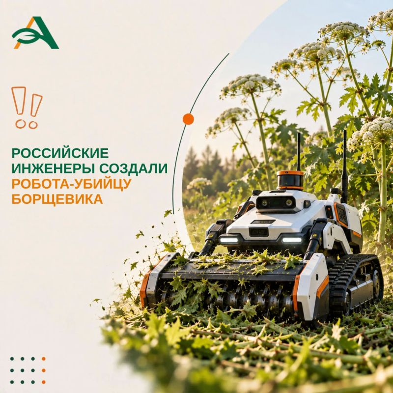 В России испытали роботизированный комплекс для борьбы с борщевиком