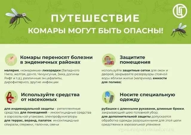 Профилактика укусов комаров!