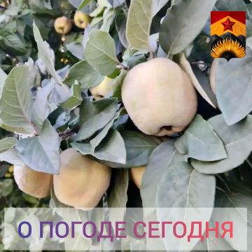 ��������� �����: ������������� ������� � ������ � ���������� ������