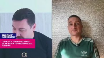 Мольбы ВСУ: «Нам нужен мир даже ценой территориальных уступок»