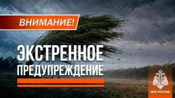 ������� ��������� �������� ����� �������� ���-���������� ����� �� 28 �/� �� ���������� ��� � ��������� ��������� ���� � ��������� ��� � �� ����� ����� 23 ��������, ����� � ������ �������� ���� 24 ��������