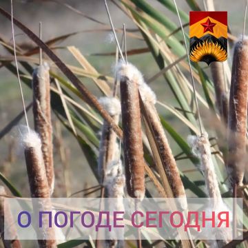 ��������� �����: ������������� ������� � ������ � ���������� ������