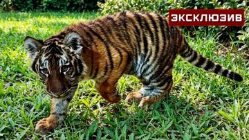 ���������� ��������������� � ���� ��� �������� �������� � ����������