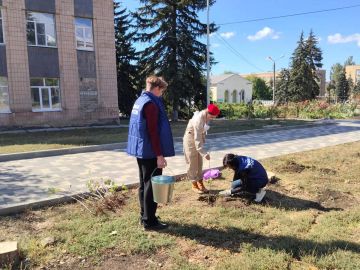 Зеленый символ единства: в Амвросиевке высадили деревья в честь исторической даты!