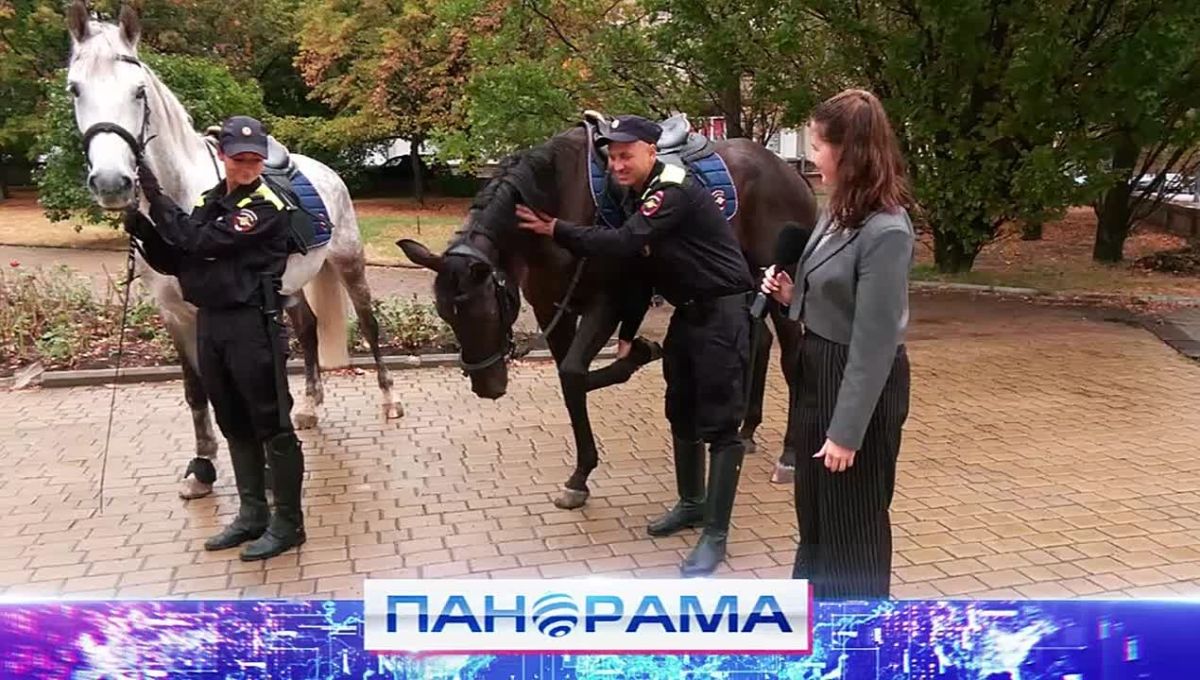 Копыта вместо сирен: конное подразделение МВД патрулирует улицы города
