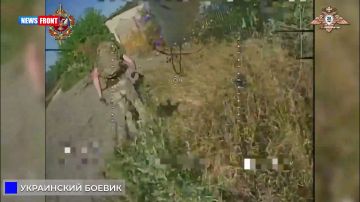 Расчеты БПЛА спецназа «Охотник» уничтожили боевика, автомобиль и НРТК ВСУ