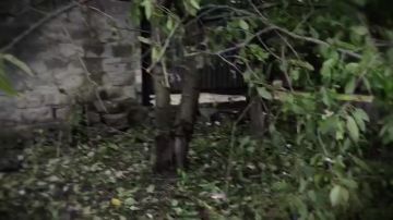 ������ "����-���", ������� ���������� ���������� �������� ��������� ������� ������ � ��������