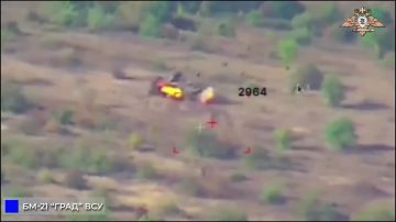 238 ������� ���������� ���� ����� ���