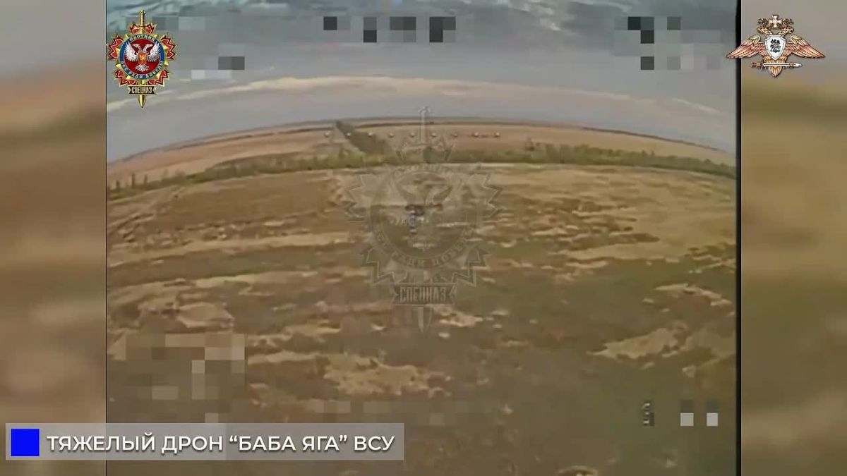 «Охотник» уничтожил несколько БЛА «Баба Яга» ВСУ