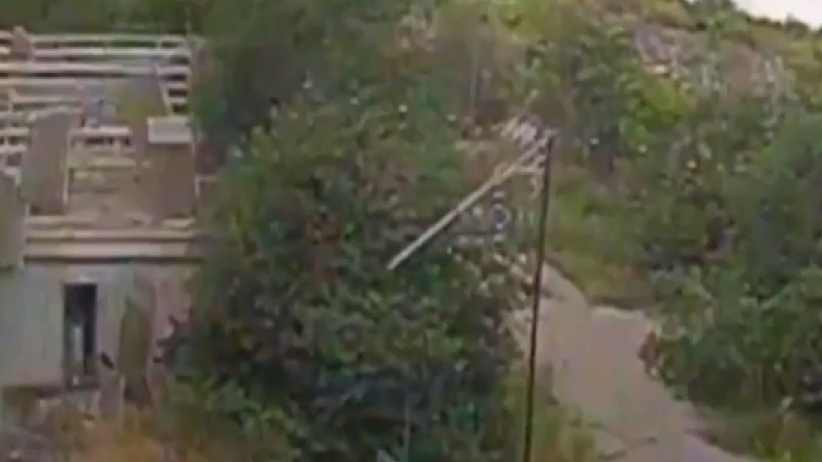 Опубликованы кадры боев за Нововодяное в ДНР