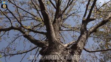 ������� ��������: ������� ��������� �������
