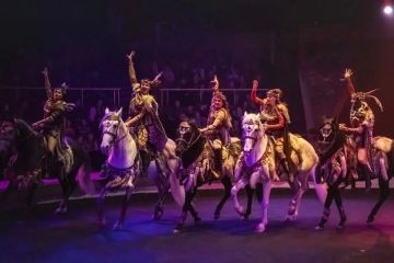 «Лебединое озеро», «Война и мир» и экзотик-шоу «Зов джунглей»: Афиша мероприятий в Донецке с 28 сентября по 4 октября 2026 года