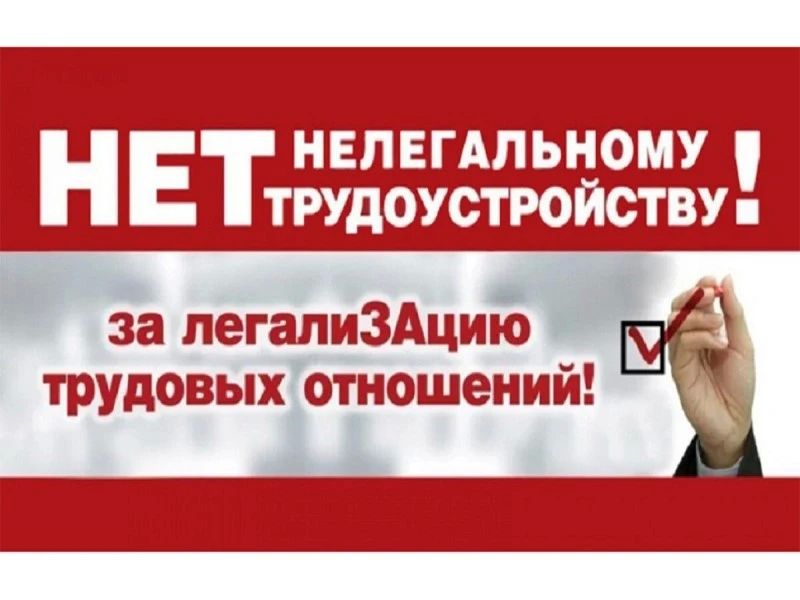 Легализация трудовых отношений