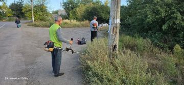 Елена Рязанцева: Сегодня Управой Пролетарского внутригородского района ведутся работы по покосу травы вдоль дороги по ул. Акопяна
