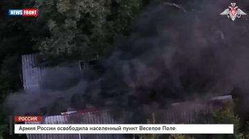 Армия России освободила населенный пункт Веселое Поле