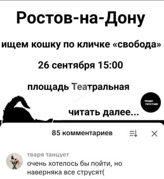���������� ��������� ��������� ���������� ������� � ���������� ����� ����� TikTok � Telegram