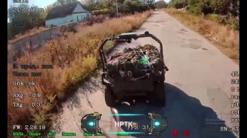 ��������� ���: �������� ������ �������� ����