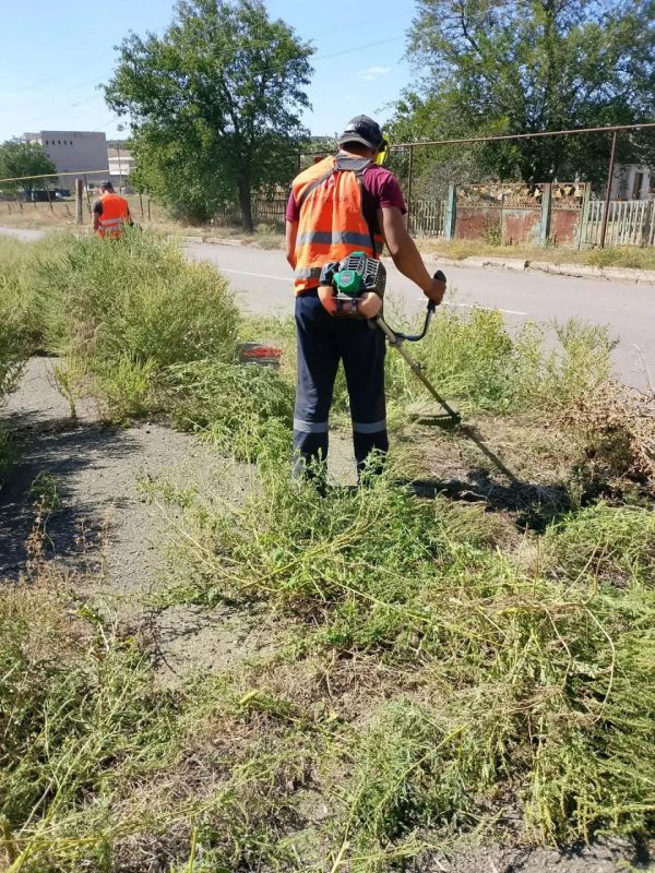 Сергей Юзвинкевич: В Володарском муниципальном округе продолжаются работы по покосу травы и содержанию территорий в надлежащем состоянии