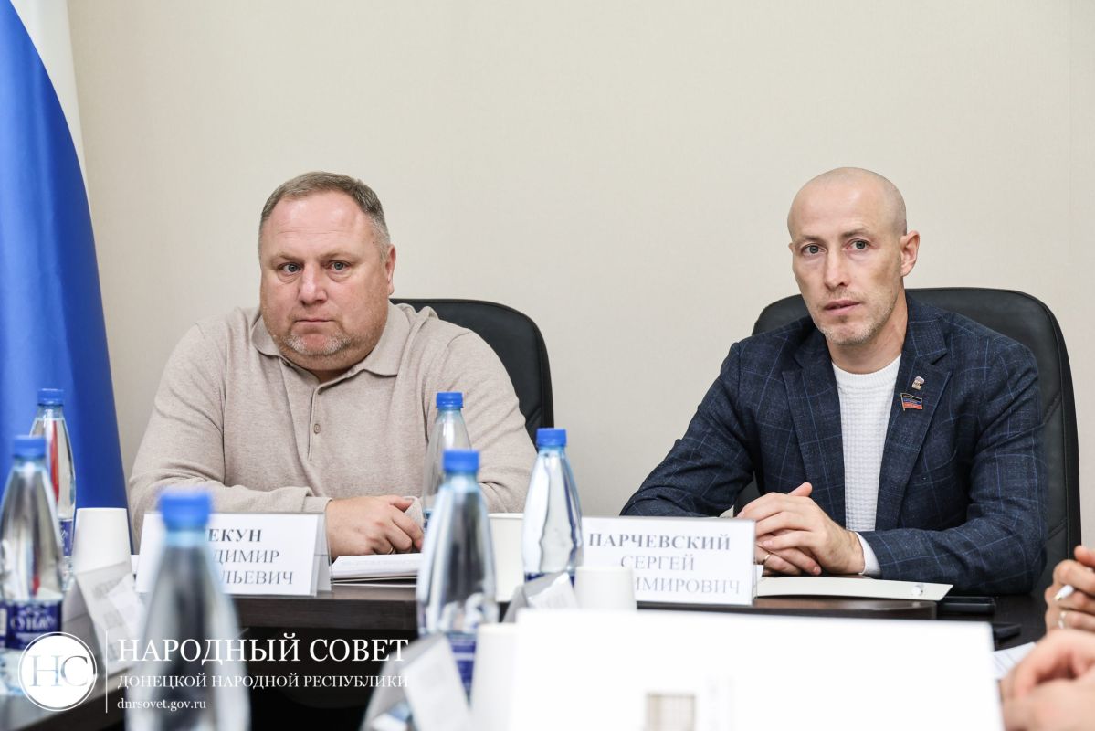Депутаты готовят к принятию закон «О детско-юношеском спорте в Донецкой Народной Республике»