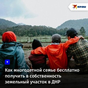 Как многодетной семье бесплатно получить в собственность земельный участок в ДНР