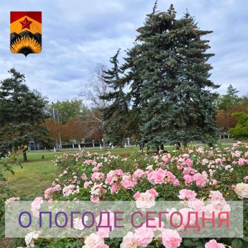 ��������� �����: ������������� ������� � ������ � ���������� ������