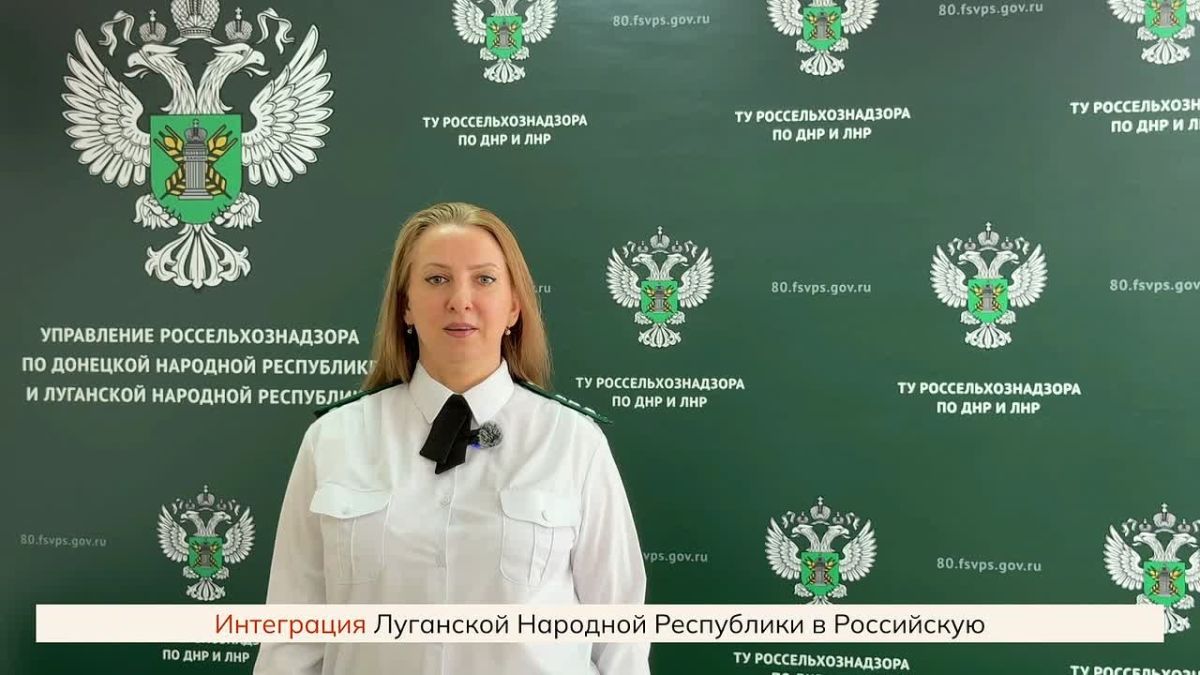 #МыДома